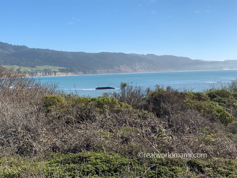 Discovering the Wonders of Año Nuevo State Park: A Family Adventure