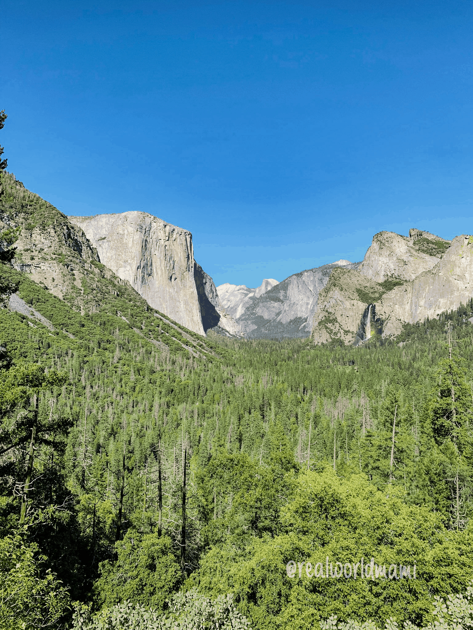 Essential Guide of Things to do In Yosemite with kids • Real World Mami