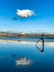 View of santa Cruz Wharf