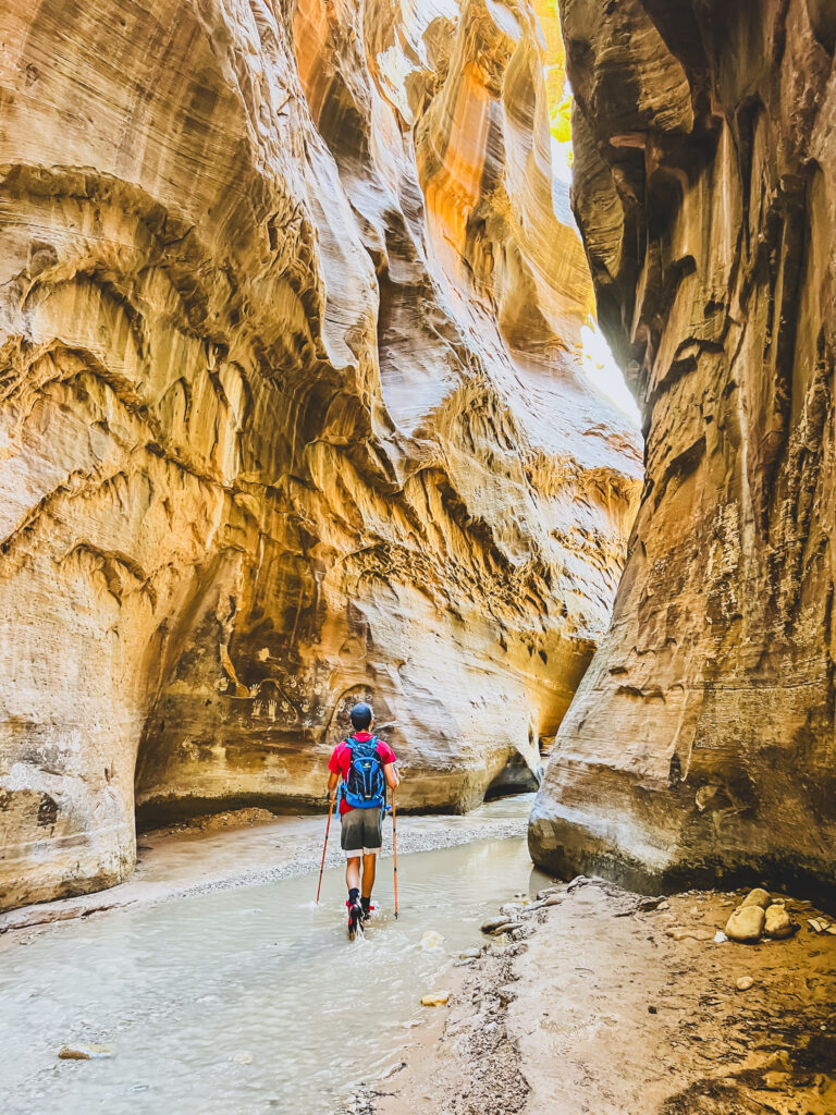 Hiking the Narrows  Zion National Park: A Beginner’s Guide
