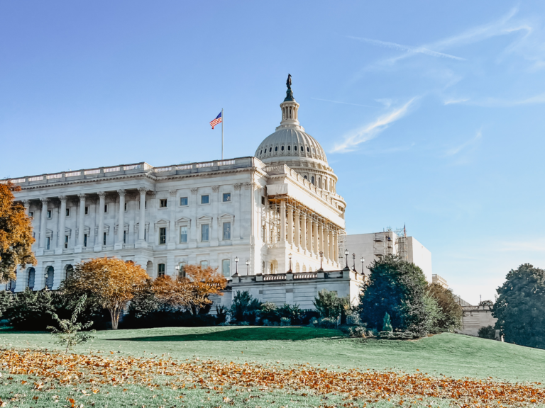 Things to do and Where to go In a  Family Trip to Washington DC (With Kids Under 10)