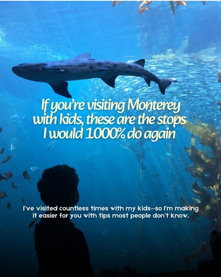 The Monterey Family Guide: 10 Things I Would 1000% Do Again With Kids