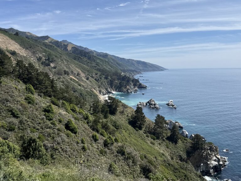 Mini Big Sur Guide 🌊🌲