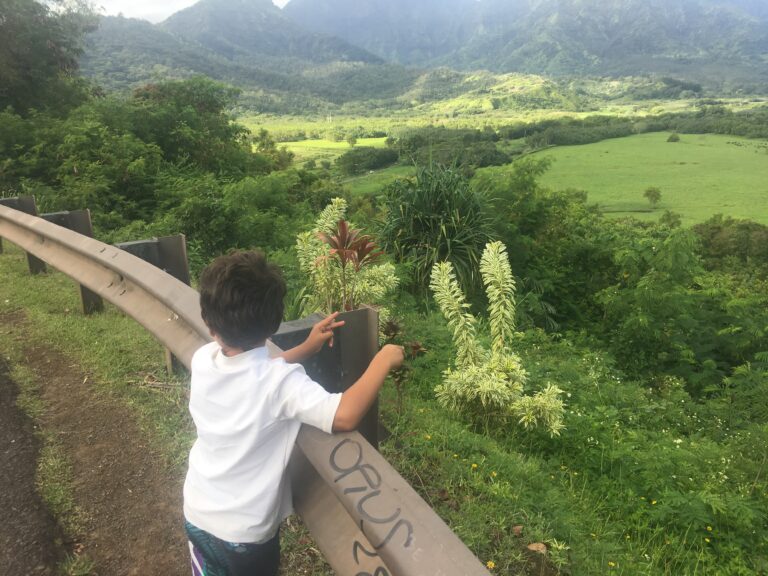 Visiting Kauai for the First Time With Kids: Things I Would Definitely Do