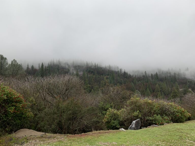 Things to Do in Murphys CA: Your Ultimate Guide Beyond Wine Tasting